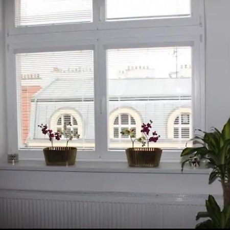 Lenka'S Cozy Red Studio + Lenka'S Cozy Gold Apartment Prag Exteriör bild