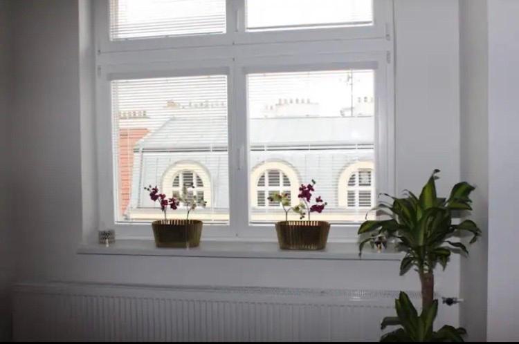 Lenka'S Cozy Red Studio + Lenka'S Cozy Gold Apartment Prag Exteriör bild